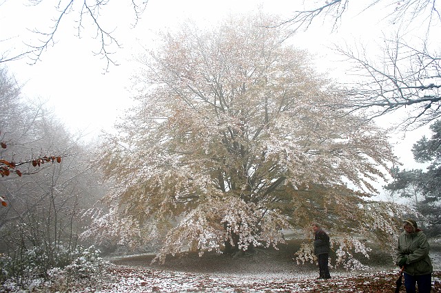 Raichberg 2007 Bild 17